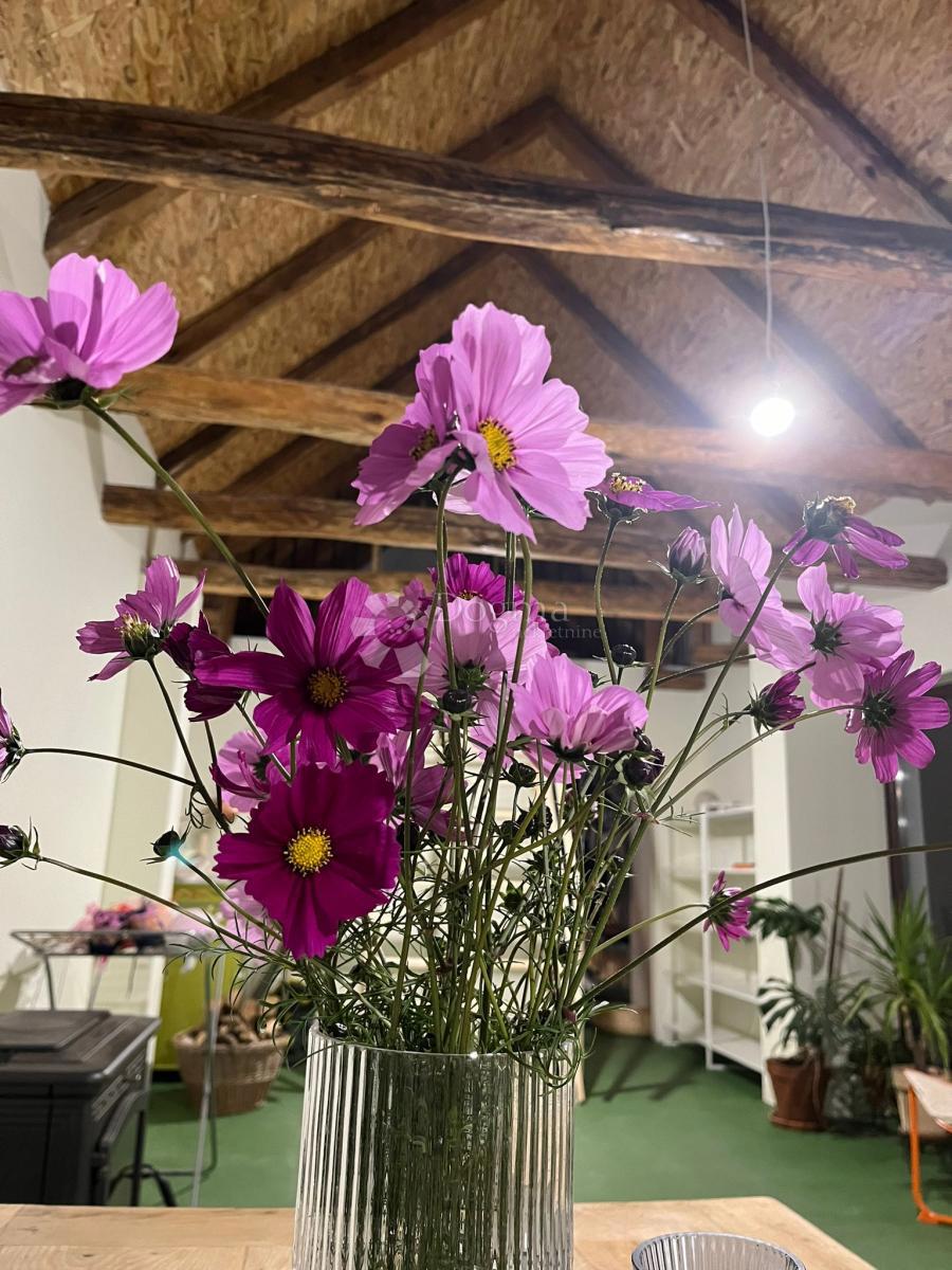 Hiša Londžica, Našice, 208m2