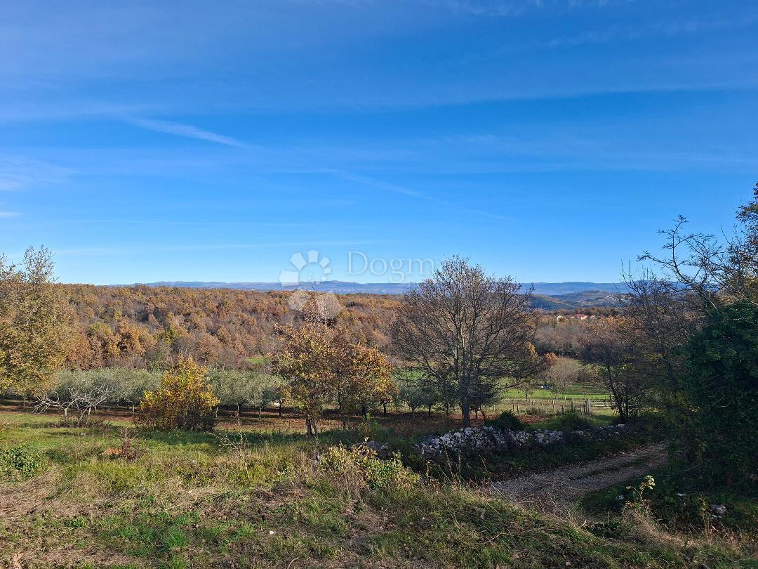 Zazidljivo zemljišče Višnjan, 564m2