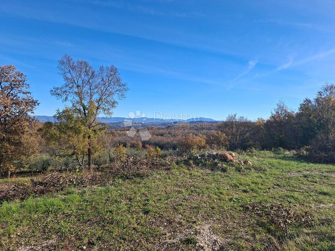 Zazidljivo zemljišče Višnjan, 564m2