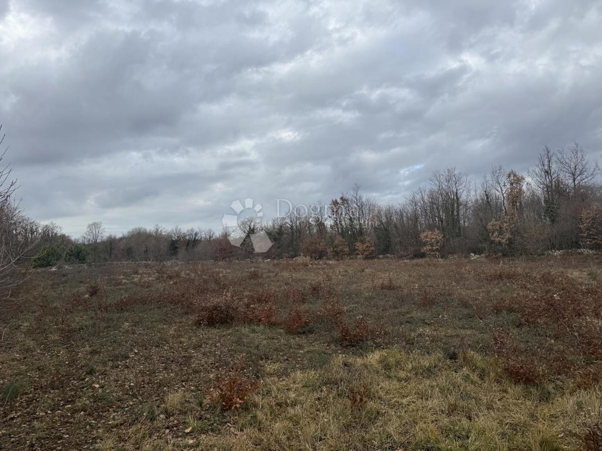 Zazidljivo zemljišče Butkovići, Svetvinčenat, 20.120m2