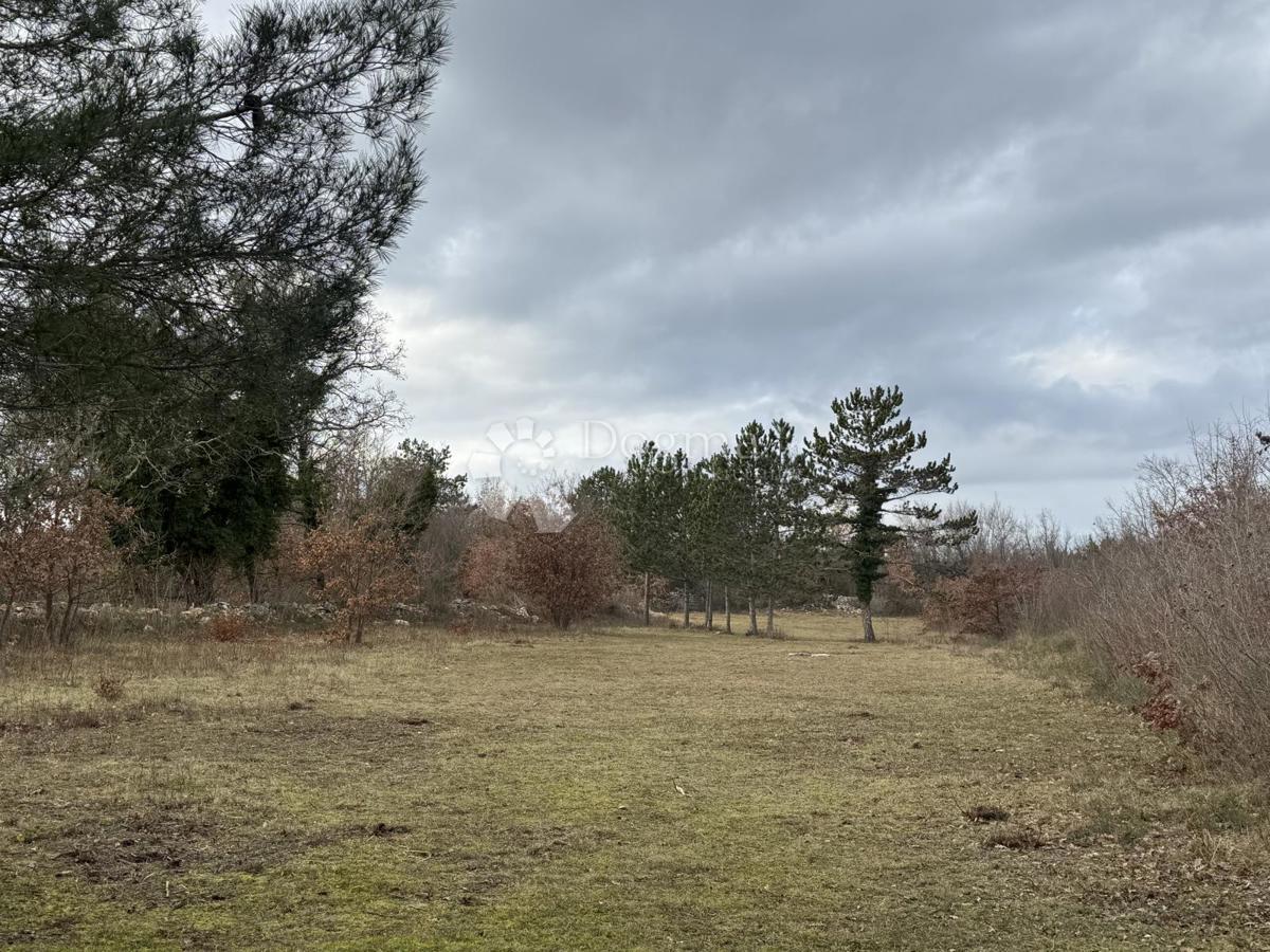 Zazidljivo zemljišče Butkovići, Svetvinčenat, 20.120m2