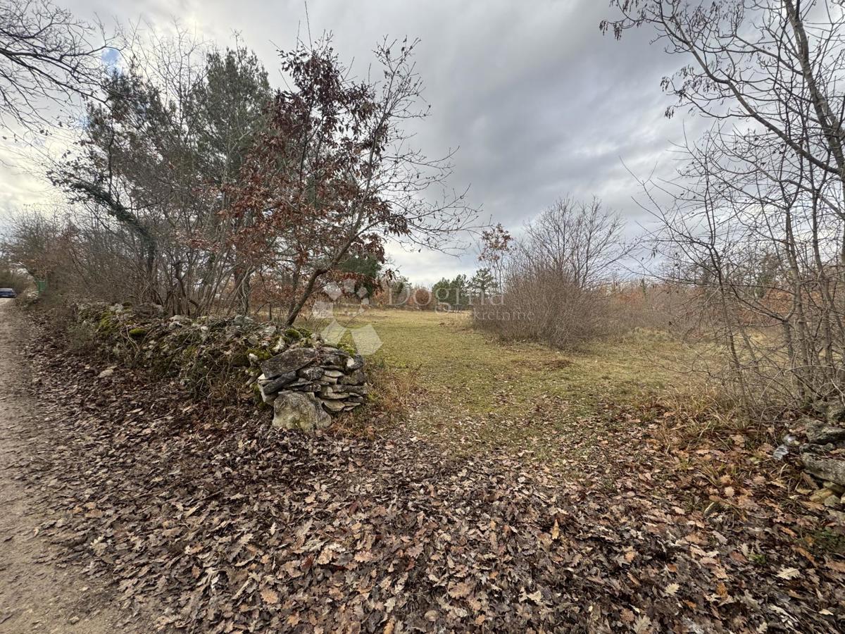 Zazidljivo zemljišče Butkovići, Svetvinčenat, 20.120m2