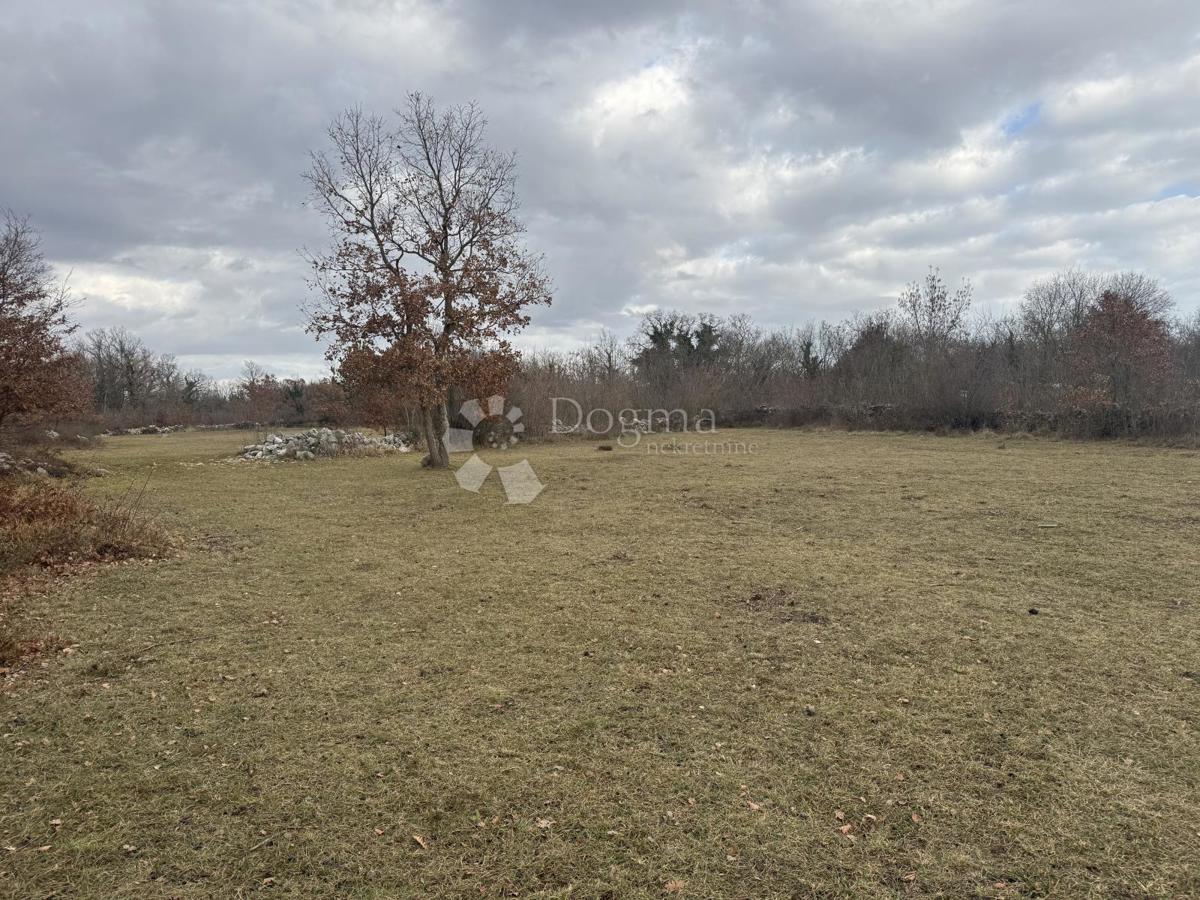 Zazidljivo zemljišče Butkovići, Svetvinčenat, 20.120m2