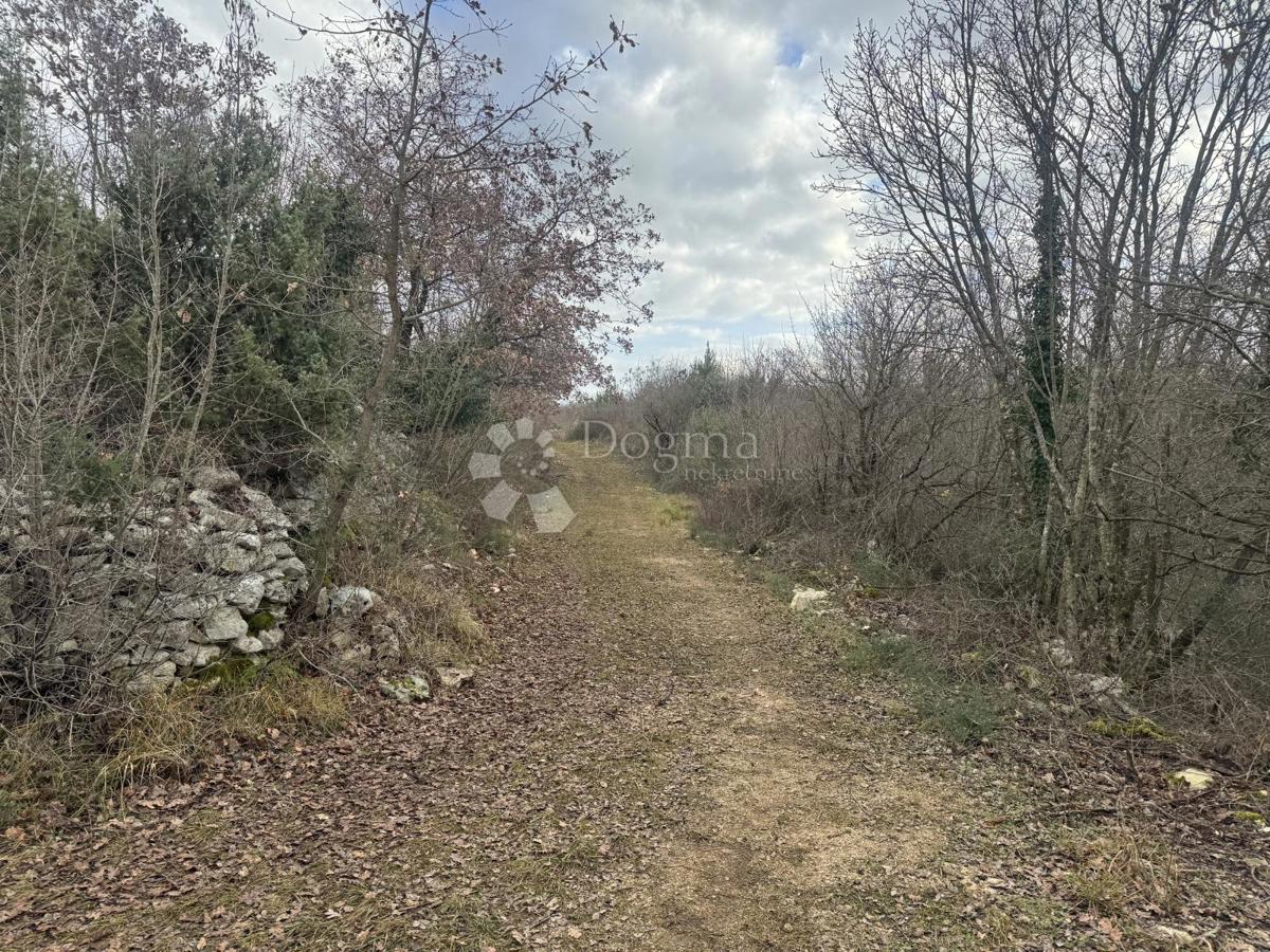 Zazidljivo zemljišče Butkovići, Svetvinčenat, 20.120m2