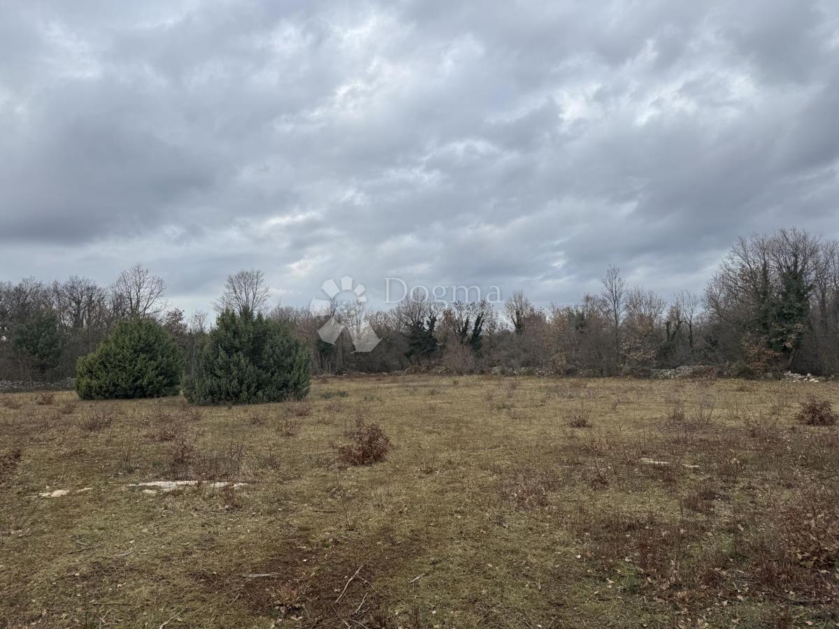 Zazidljivo zemljišče Butkovići, Svetvinčenat, 20.120m2