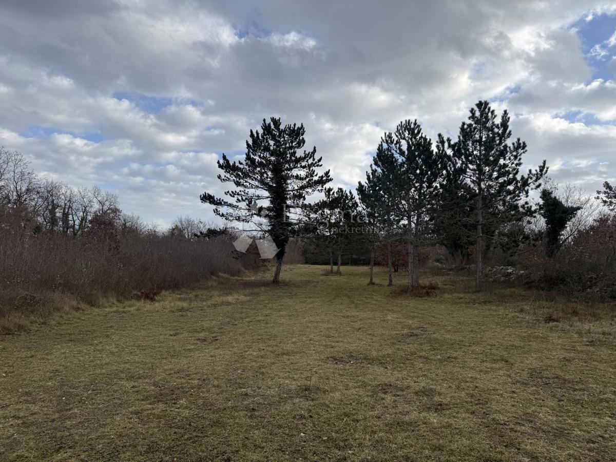 Zazidljivo zemljišče Butkovići, Svetvinčenat, 20.120m2