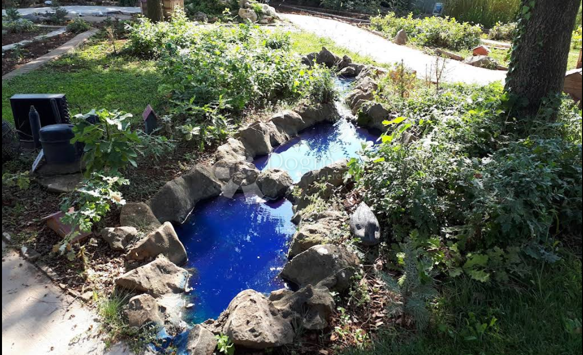 Istrsko posestvo velikosti 5000 m² z več stavbami in parkom