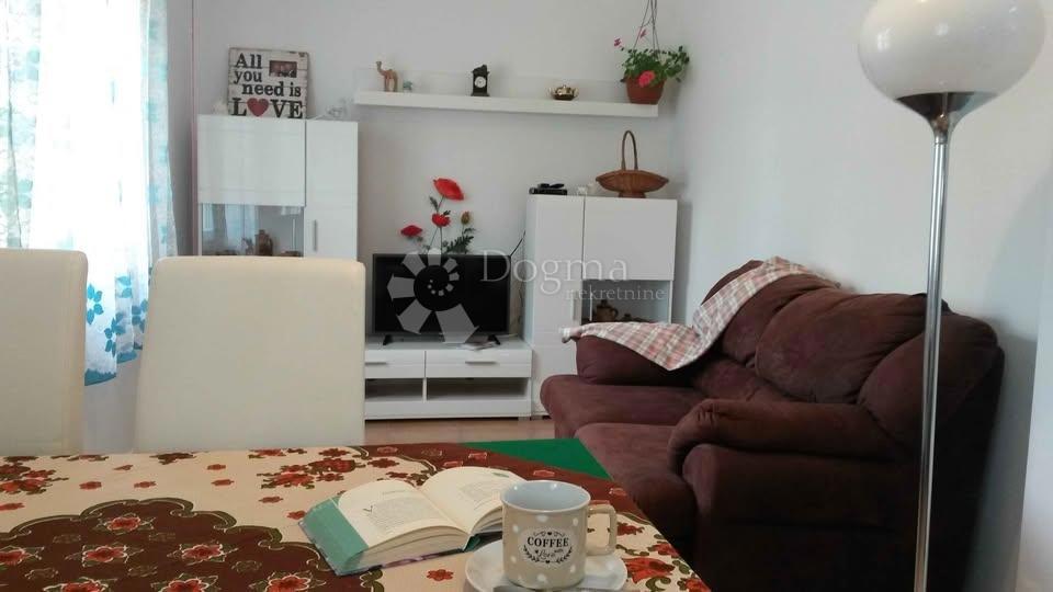 Istrsko posestvo velikosti 5000 m² z več stavbami in parkom