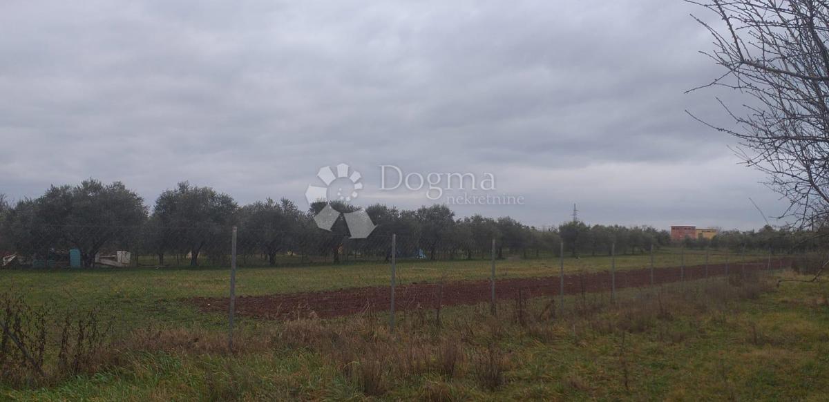 Kmetijsko zemljišče Finida, Umag, 4.485m2