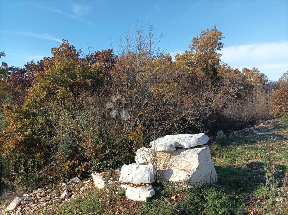 Zemljišče Golaš, Bale, 23.971m2