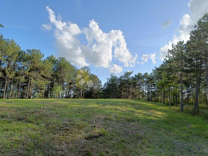 Grajevinsko Zemljišče (2000 m²) z Obsežnim Gozdom (36.789 m²)