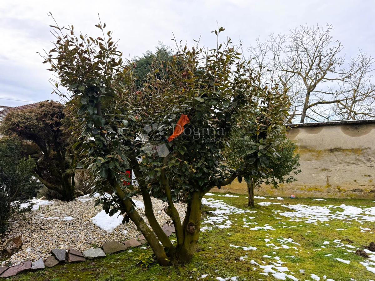 Hiša Pribislavec, Čakovec - Okolica, 185m2