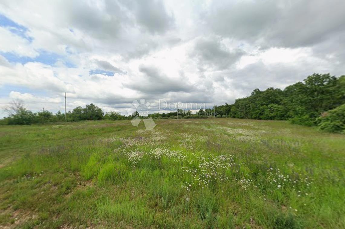 Zazidljivo zemljišče Sveti Lovreč, 3.000m2