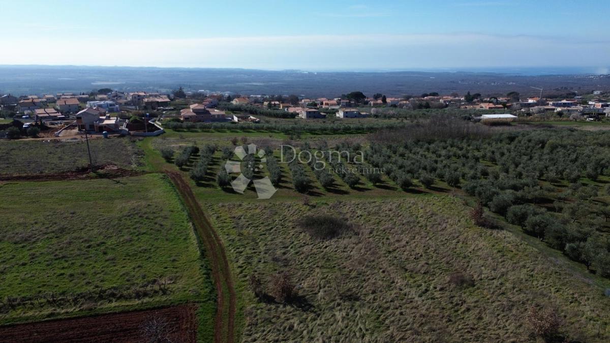 Zazidljivo zemljišče Kaštelir, Kaštelir-Labinci, 599m2