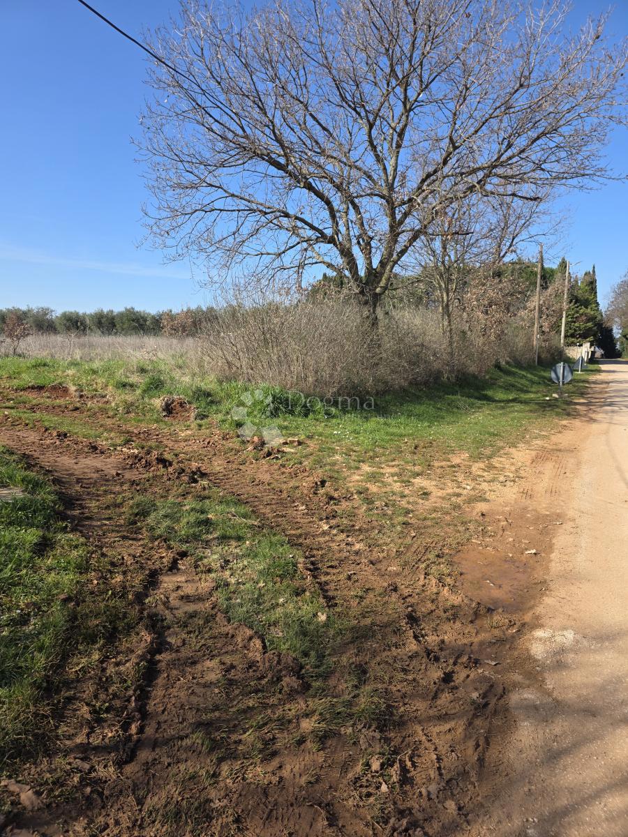 Zazidljivo zemljišče Kaštelir, Kaštelir-Labinci, 599m2