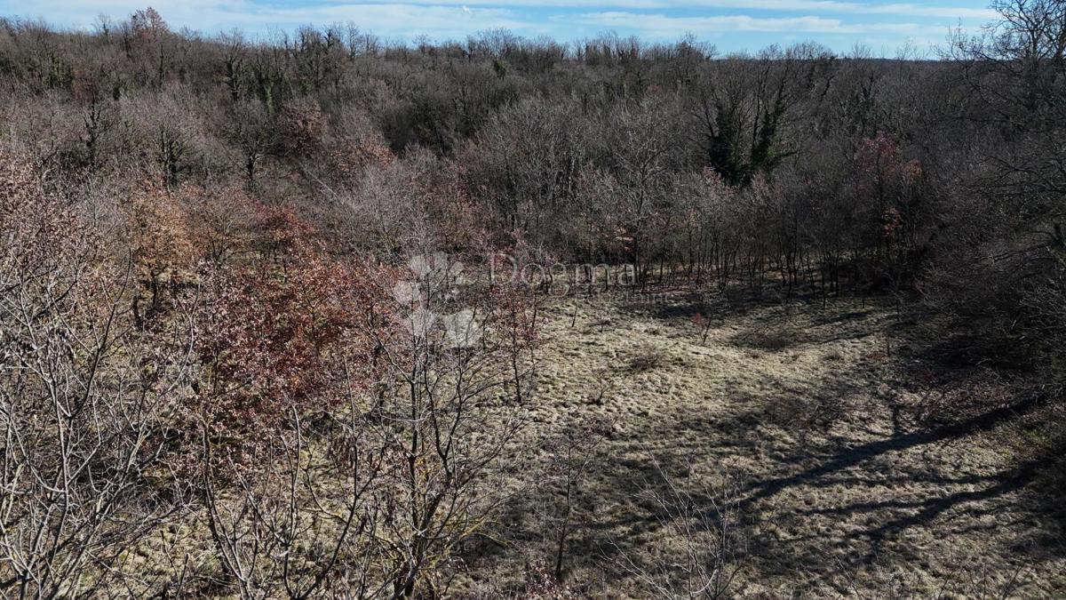 Zazidljivo zemljišče Orbanići, Žminj, 3.000m2