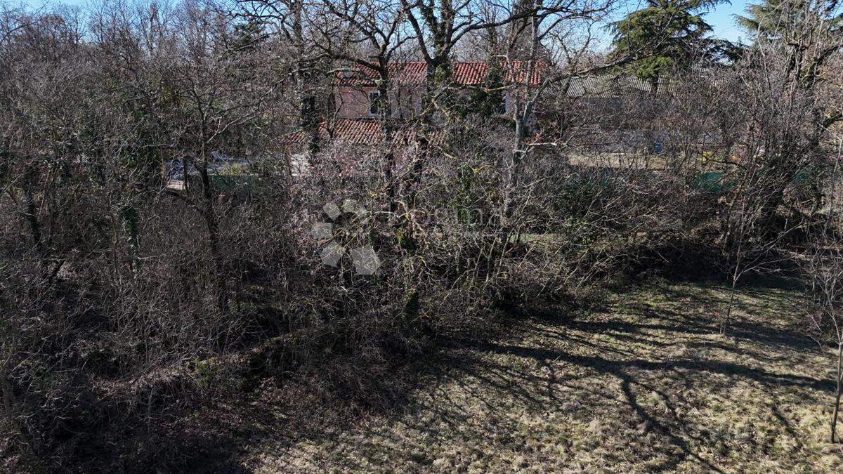 Zazidljivo zemljišče Orbanići, Žminj, 3.000m2