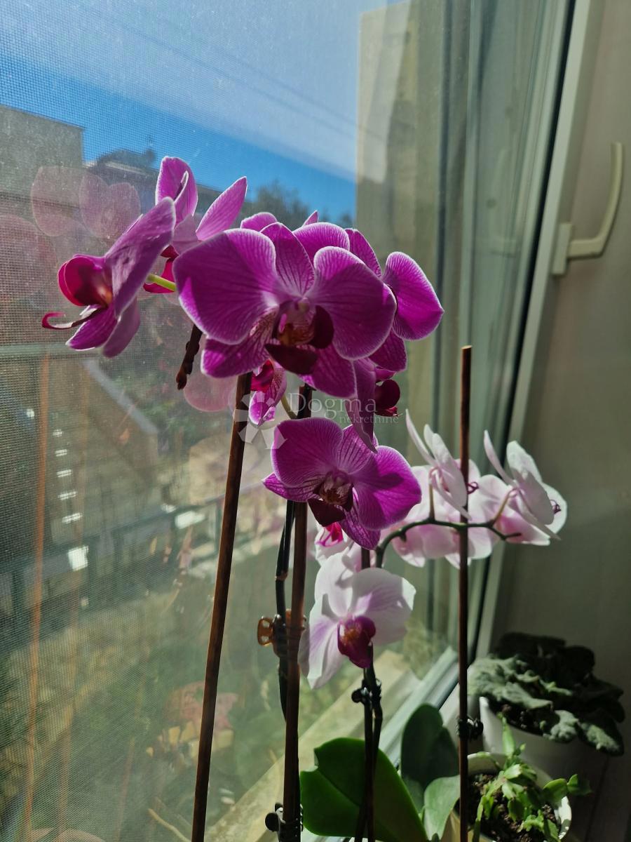 Apartma Diklo, Zadar, 56,20m2