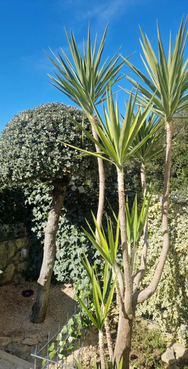 Apartma Diklo, Zadar, 56,20m2