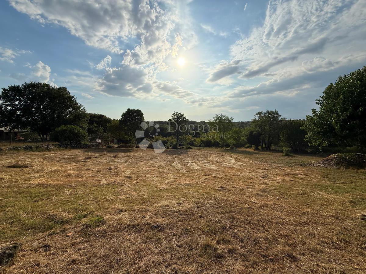 Zazidljivo zemljišče Buje, 493m2