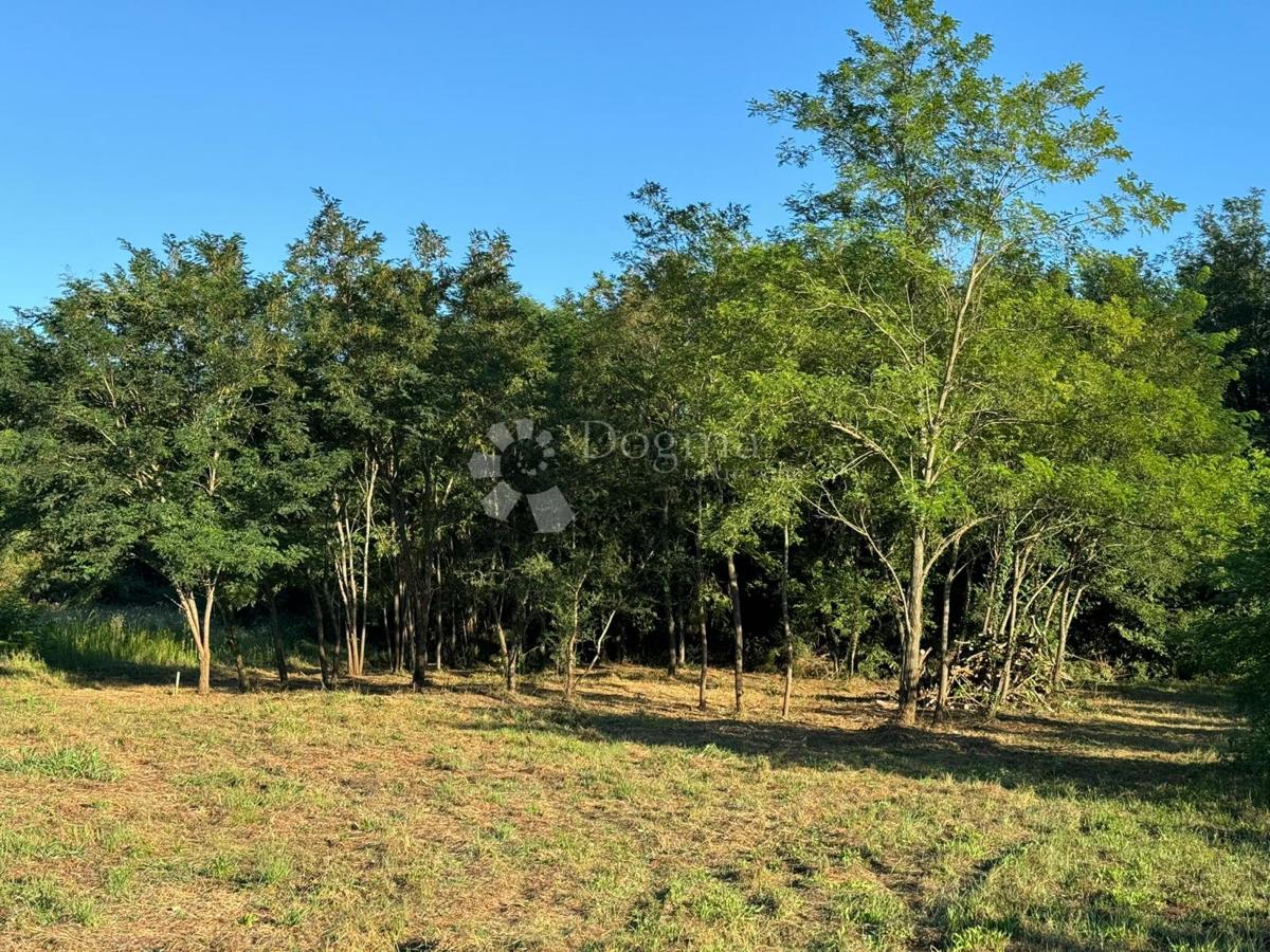 Kmetijsko zemljišče Umag, 570m2