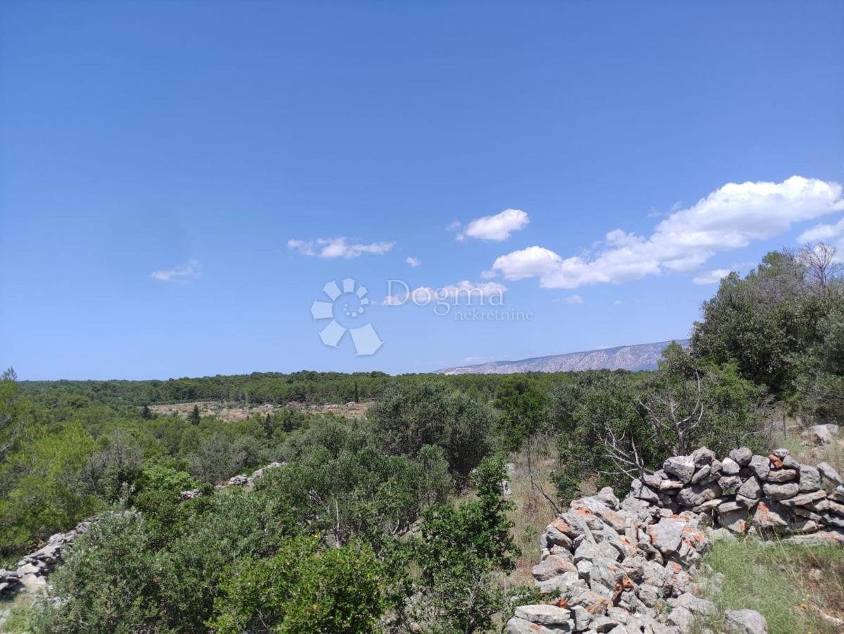 Kmetijsko zemljišče Hvar, 13.543m2