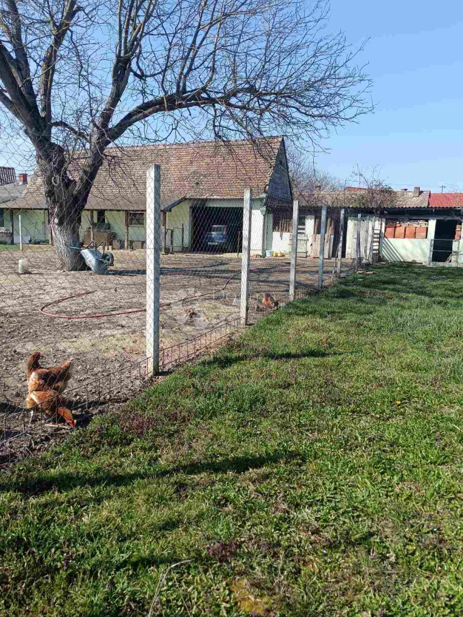 Hiša Brođanci, Bizovac, 75m2