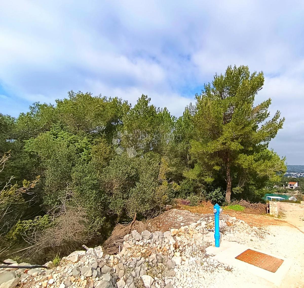 Kmetijsko zemljišče Milna, 6.175m2