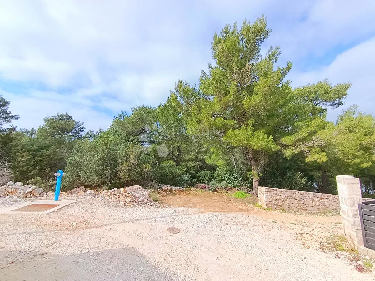 Kmetijsko zemljišče Milna, 6.175m2