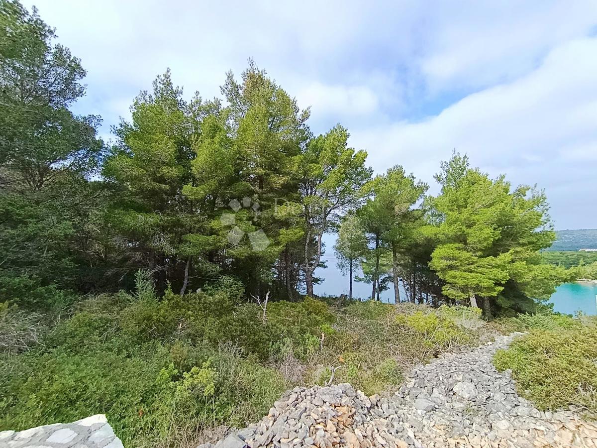 Kmetijsko zemljišče Milna, 6.175m2