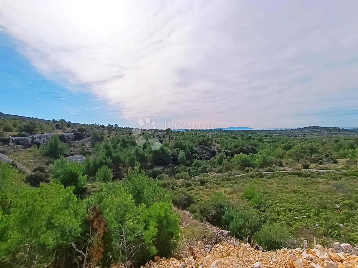 Kmetijsko zemljišče Milna, 8.669m2