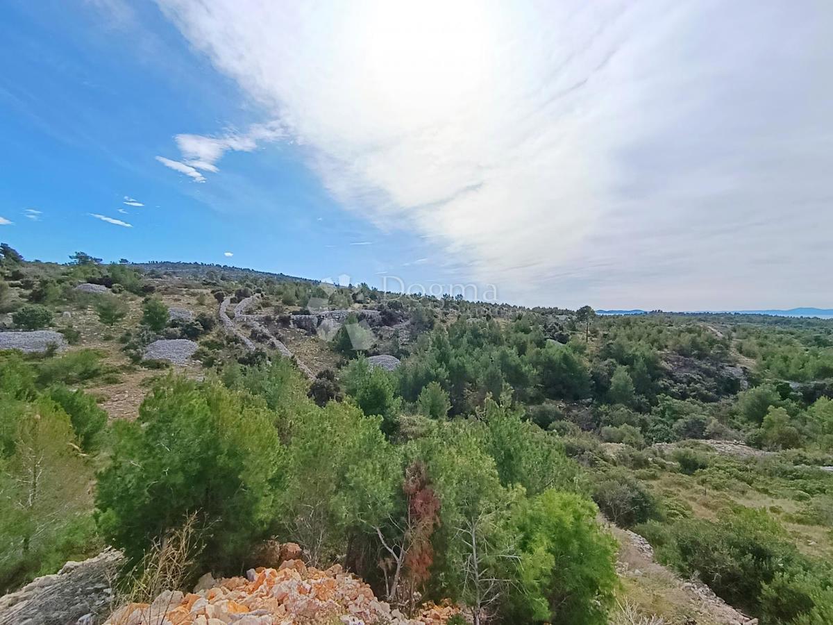 Kmetijsko zemljišče Milna, 8.669m2