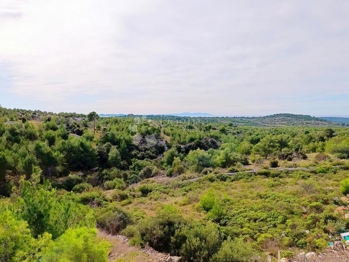 Kmetijsko zemljišče Milna, 8.669m2