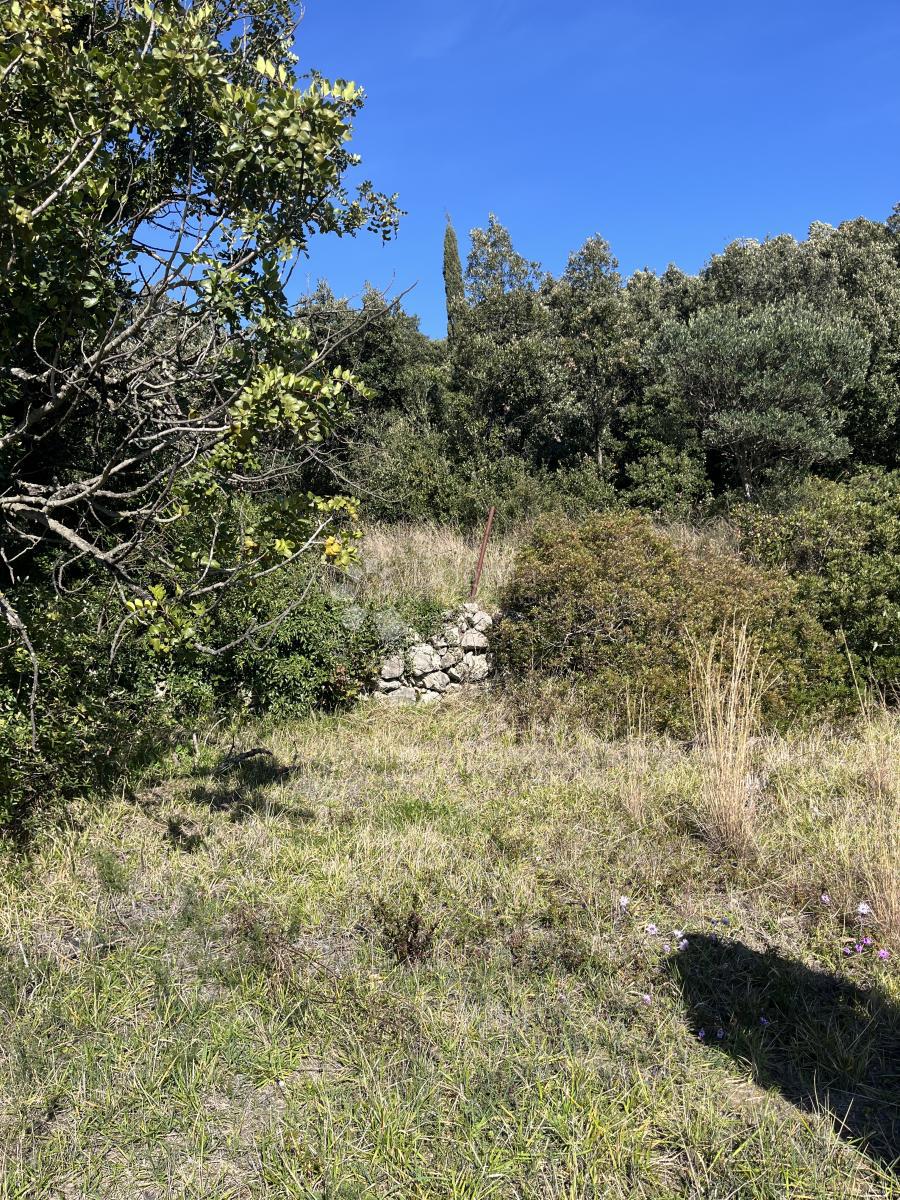 Hiša Slano, Dubrovačko Primorje, Grgurići, 120m2