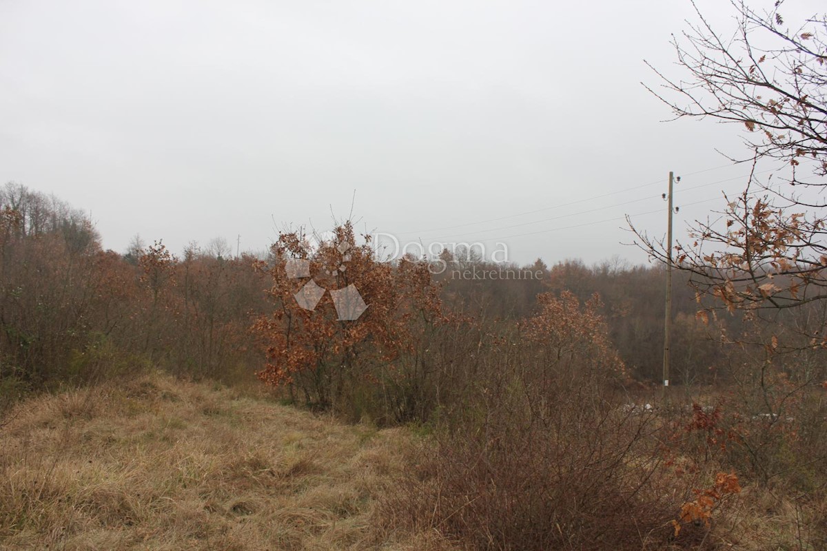 Zemljišče Juršići, Svetvinčenat, 2.913m2