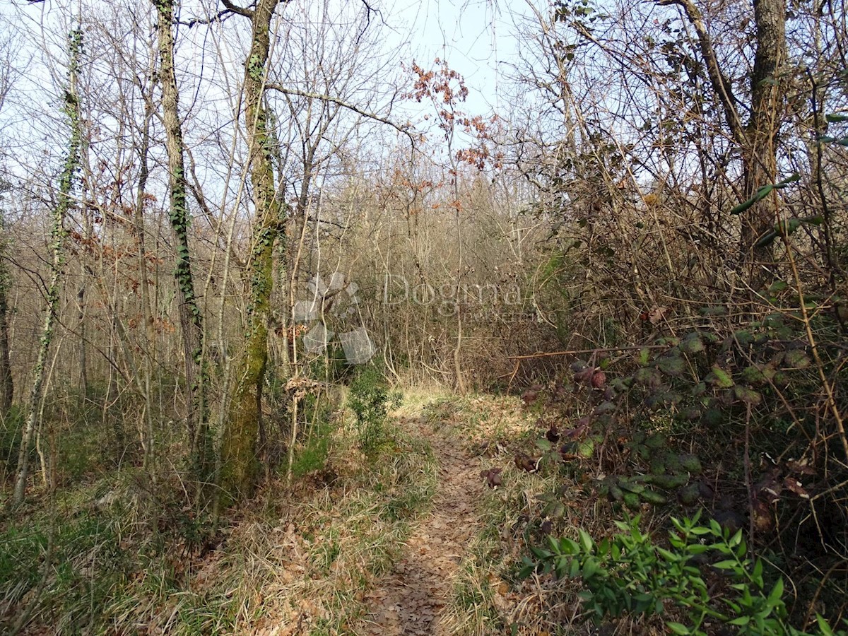 Zemljišče Matulji, 10.000m2