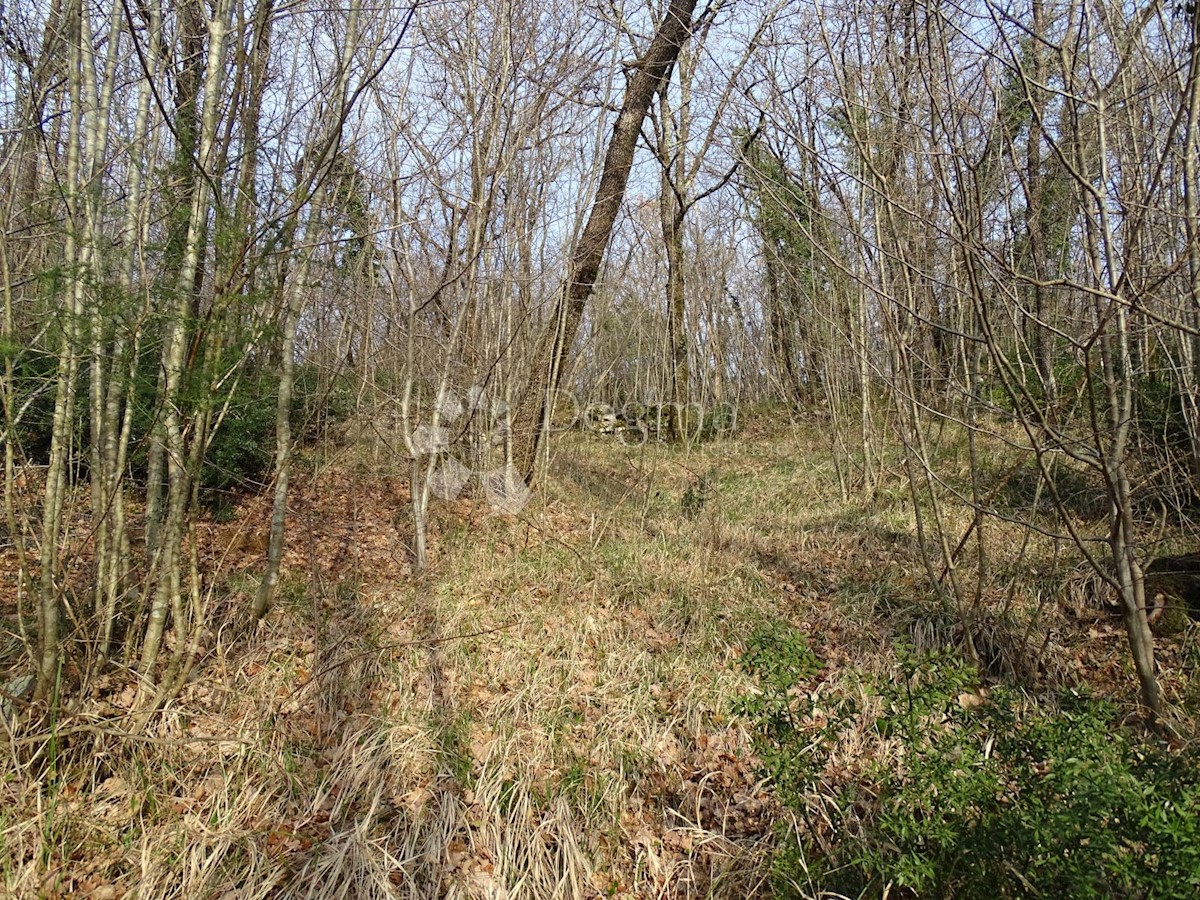 Zemljišče Matulji, 10.000m2