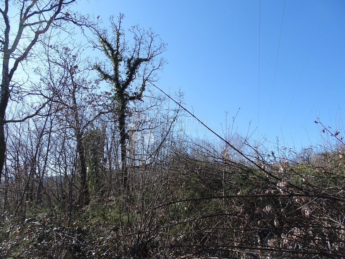 Zemljišče Matulji, 10.000m2