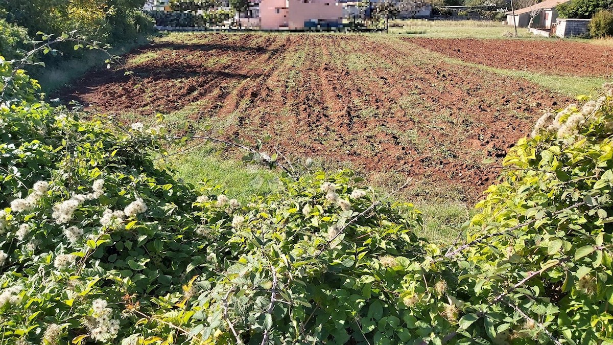 Zemljišče Kujići, Marčana, 950m2