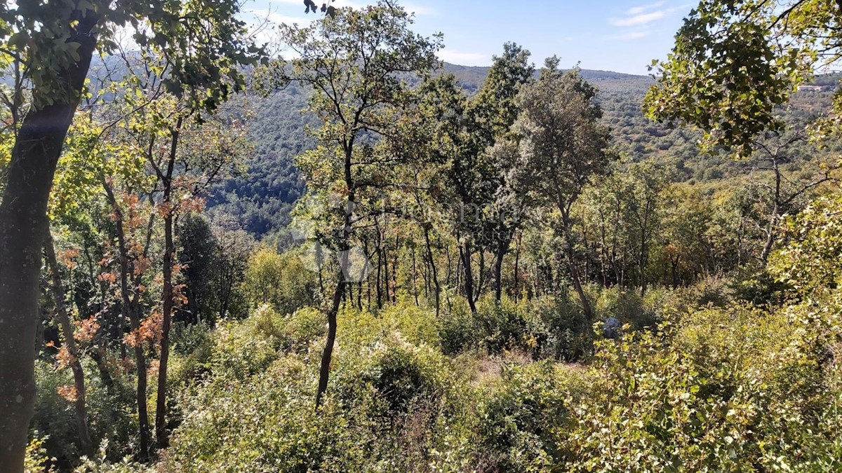 Zemljišče Labin, 6.073m2