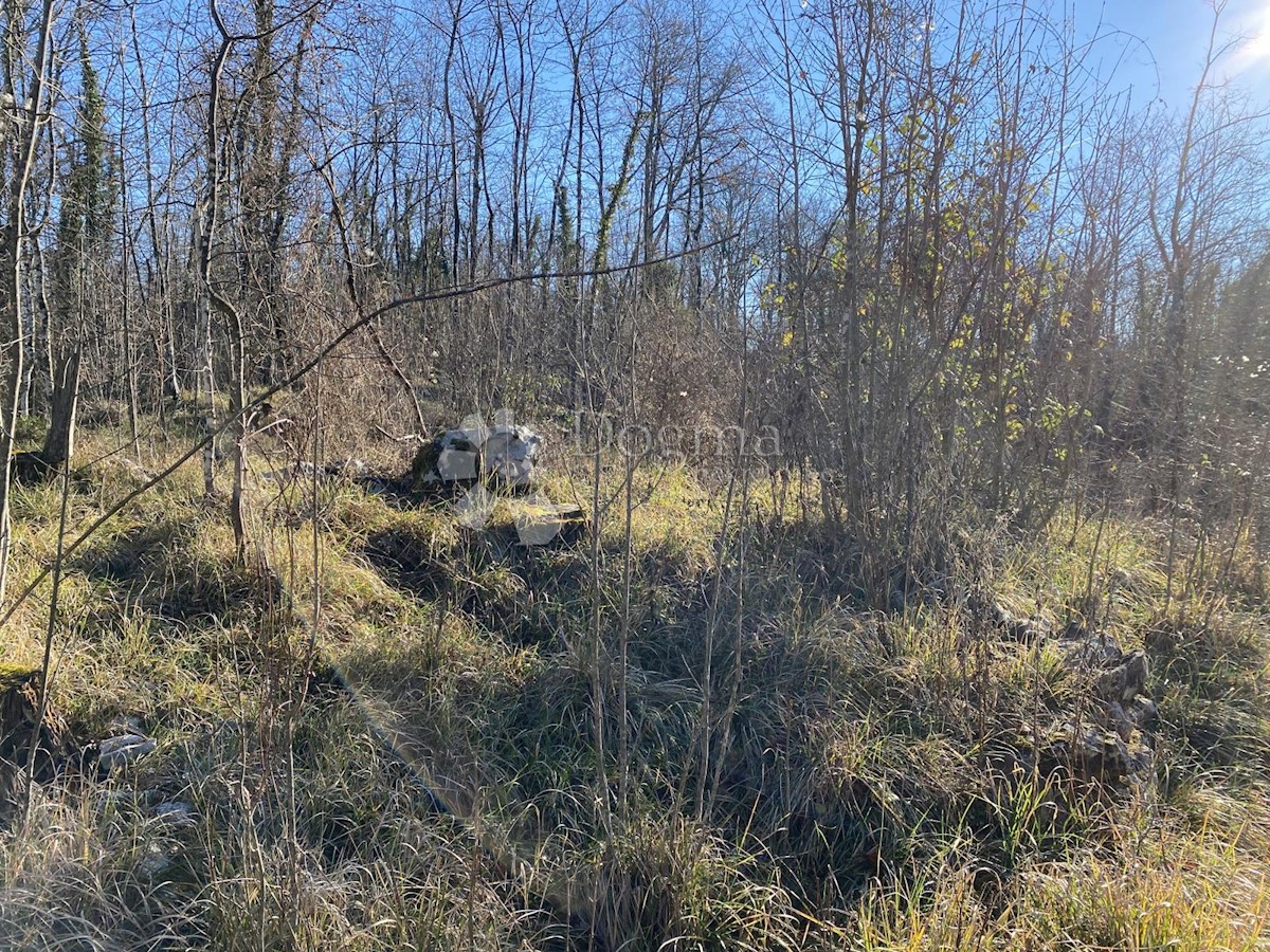 Zemljišče Mučići, Matulji, 3.129m2