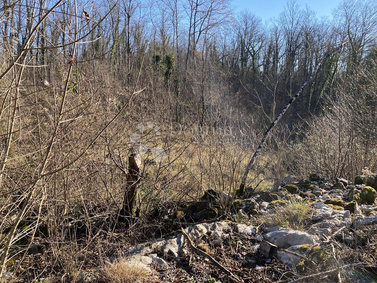 Zemljišče Mučići, Matulji, 3.129m2