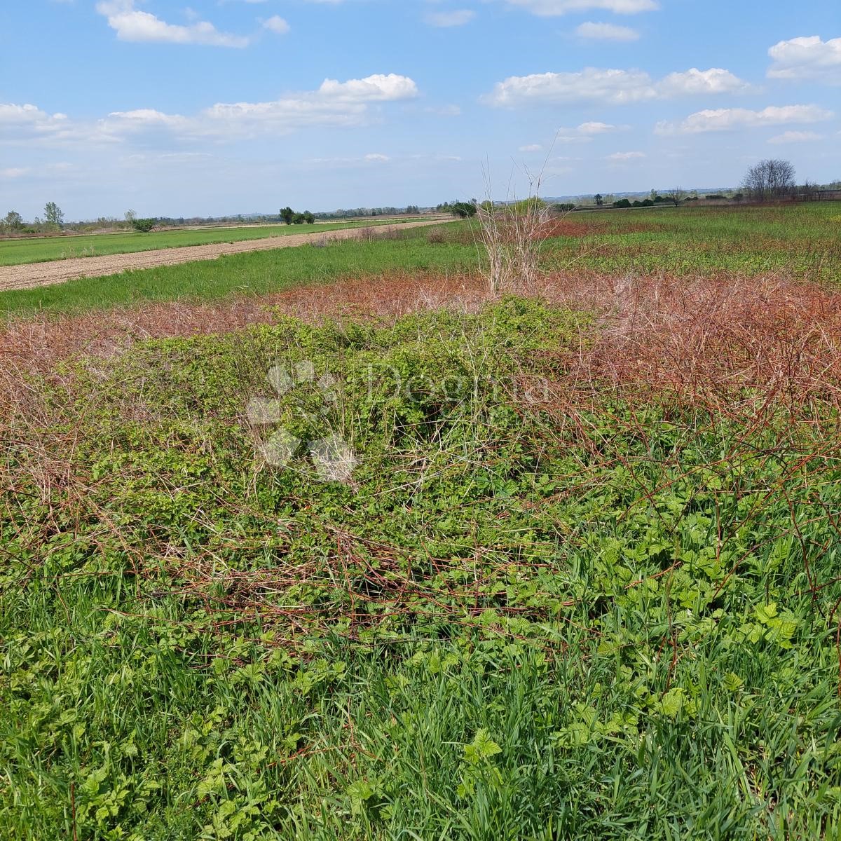 Zemljišče Hrašćica, Varaždin - Okolica, 2.691m2