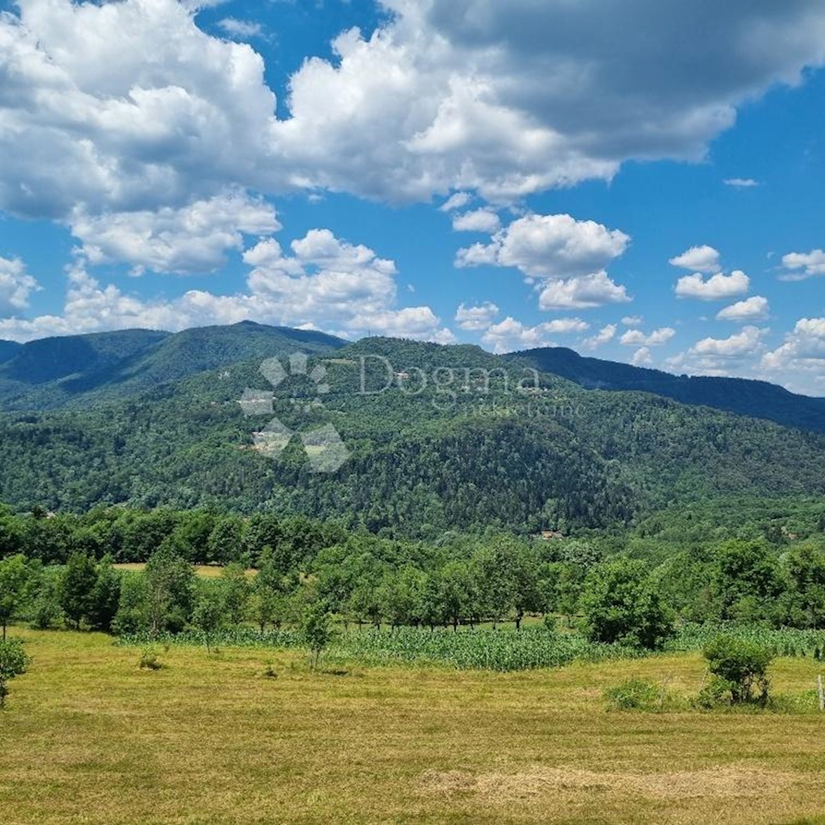 Hiša Brod Moravice, 350m2