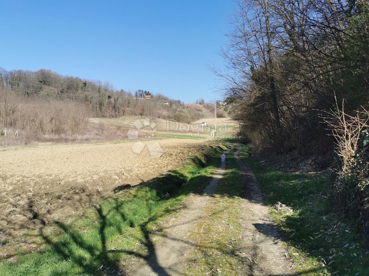 Zemljišče Velika Erpenja, Veliko Trgovišće, 1.334m2