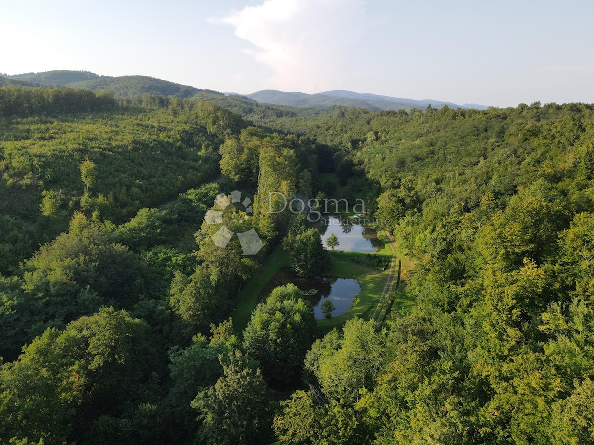 Zemljišče Šumetlica, Cernik, 8.200m2