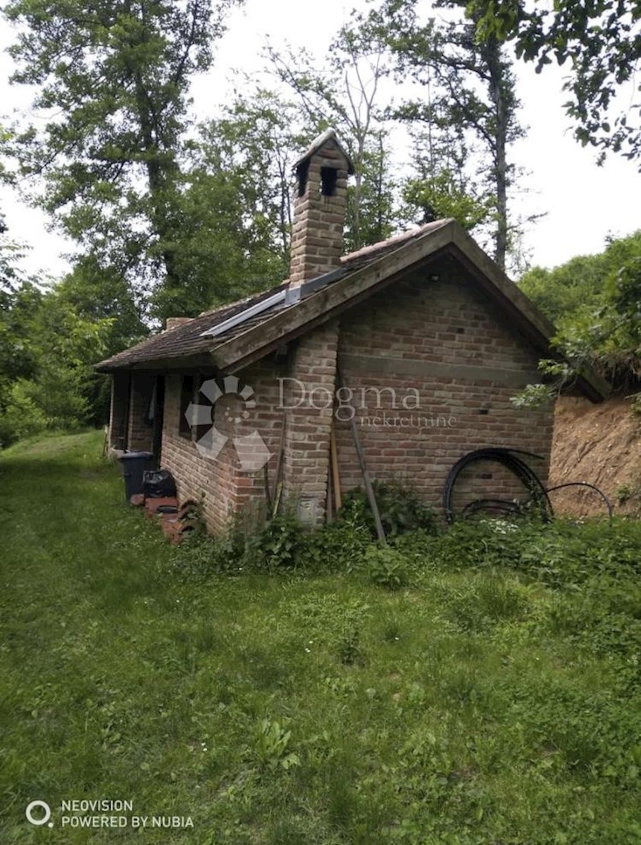 Zemljišče Šumetlica, Cernik, 8.200m2