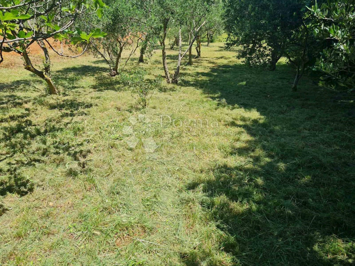 Zemljišče Posedarje, 1.103m2