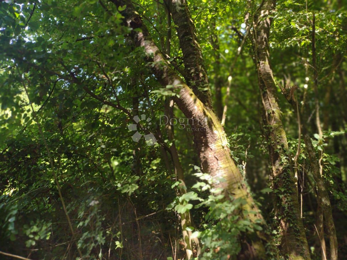 Zemljišče Donji Zvečaj, Duga Resa, 10.229m2