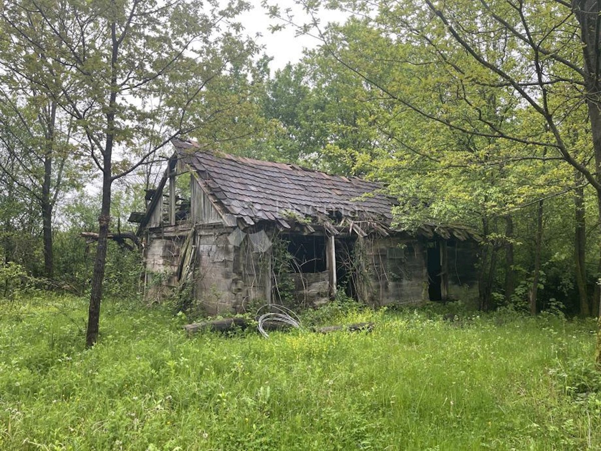 Zemljišče Ravno Rašće, Glina, 60.000m2